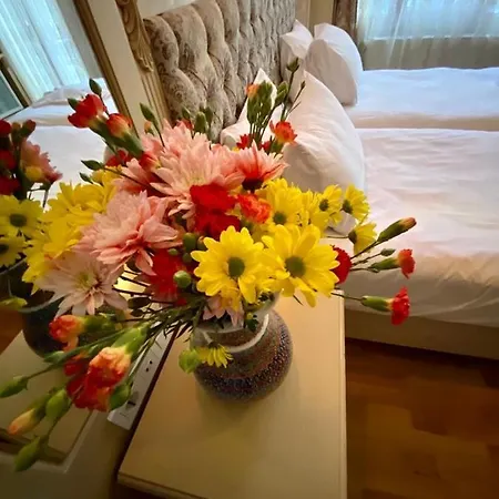 奥普蒂米斯特酒店 3*