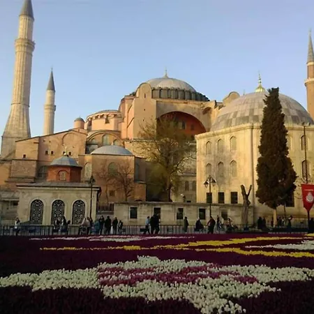 奥普蒂米斯特酒店 酒店 3*